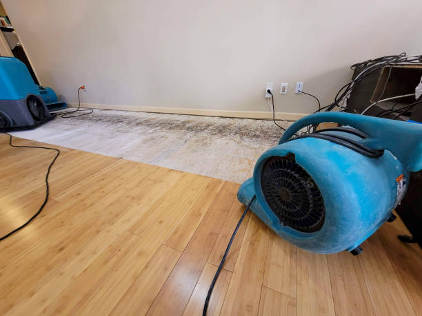 Professional Water Damage Repair technician working in Forest Park, OH